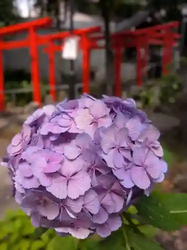 鳩森八幡神社(東京都)