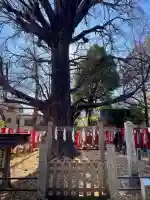 武芳稲荷神社の{uncategorized: "未分類", other: "その他", undefined: "問題あり", building: "その他建物", grave: "お墓", sacred_gate: "鳥居", guardian: "狛犬", statue: "像", buddha: "仏像", history: "歴史", nature: "自然", garden: "庭園", animal: "動物", pagoda: "塔", temizu: "手水舎", mountain_gate: "山門・神門", sanctuary: "本殿・本堂", subordinate: "末社・摂社", art: "芸術", scenery: "景色", jizo: "地蔵", ema: "絵馬", goshuin: "御朱印", omikuji: "おみくじ", items: "授与品その他", amulet: "お守り", goshuincho: "御朱印帳", eats: "食事", festival: "お祭り", votive_dance: "神楽", shichigosan: "七五三参", wedding: "結婚式", experience: "体験その他", initially: "初詣", around: "周辺", anti_infection: "感染症対策"}