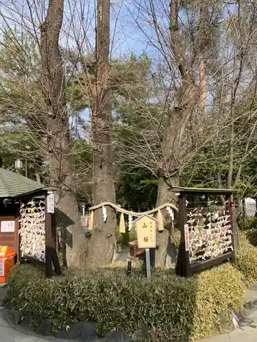 櫻木神社(千葉県)