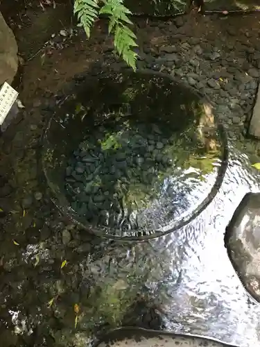 明治神宮(東京都)