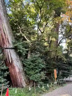 香取神宮(千葉県)