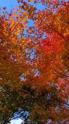 興聖寺(京都府)