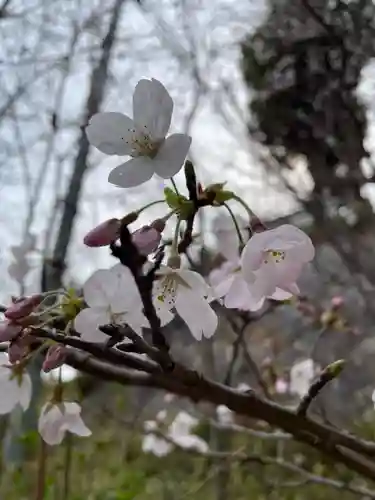 荷松院幸大寺(兵庫県)