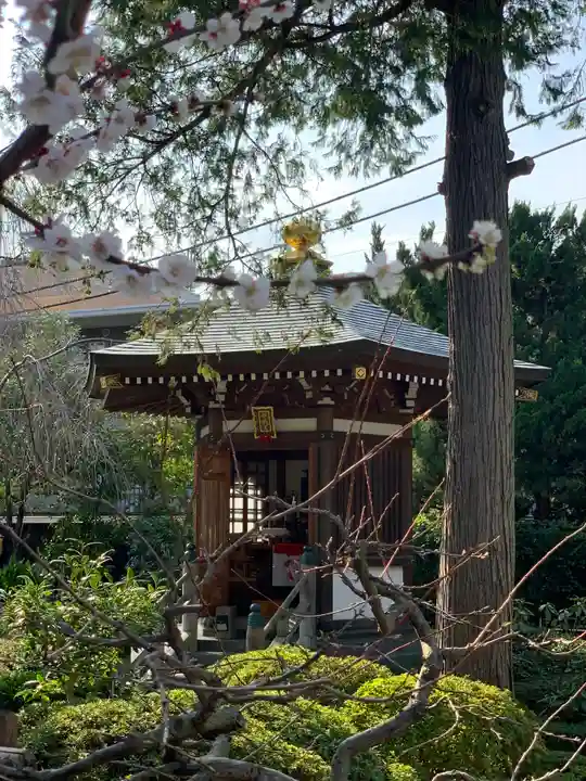 玄国寺のその他建物