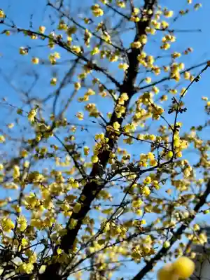 大蓮寺(京都府)