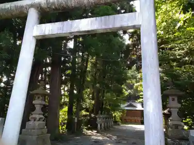 阿伎留神社の鳥居