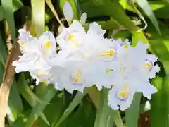 西方山極楽寺(岐阜県)