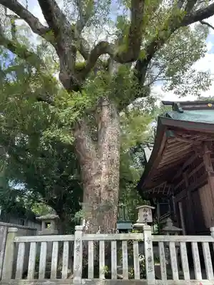 御坂神社(兵庫県)