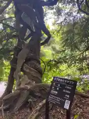 寺下観音の自然