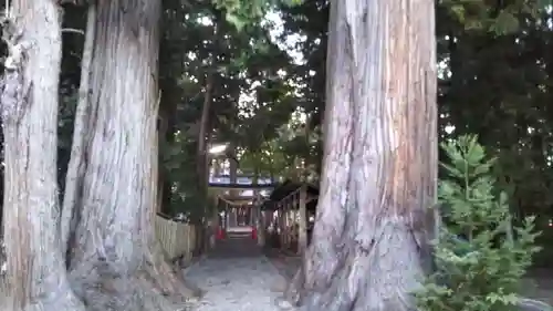 八坂神社の自然