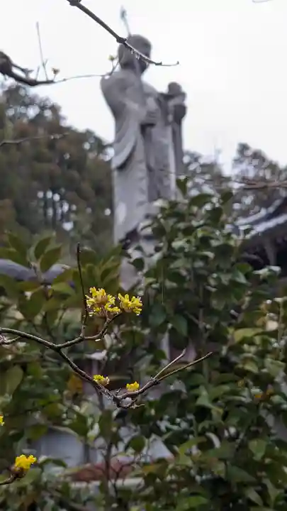 正法寺(京都府)
