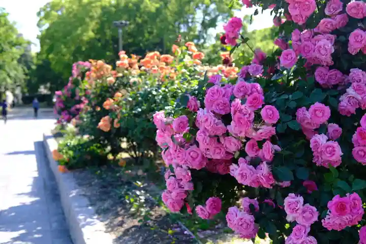 十日恵比須神社(福岡県)