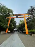 川越氷川神社(埼玉県)