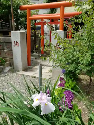 磐井神社(東京都)