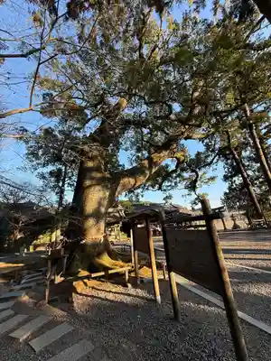 事任八幡宮(静岡県)