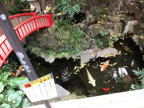 心城院の庭園