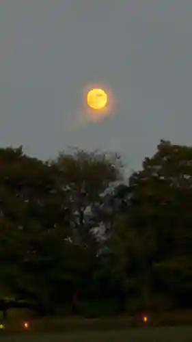 大覚寺(京都府)