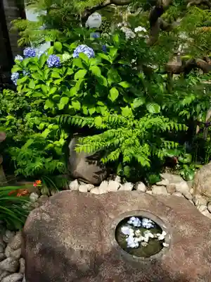智光院(東京都)
