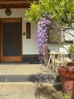 谷中 妙福寺(東京都)