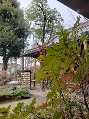 妙法寺(東京都)