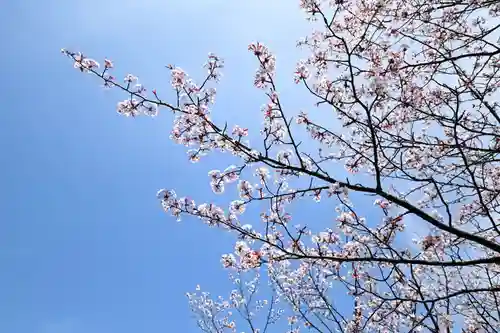 金峯神社（吉野町）の自然