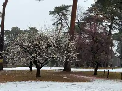 埼玉縣護國神社(埼玉県)