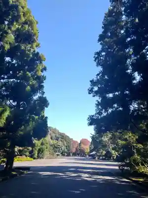 大正天皇多摩陵の自然