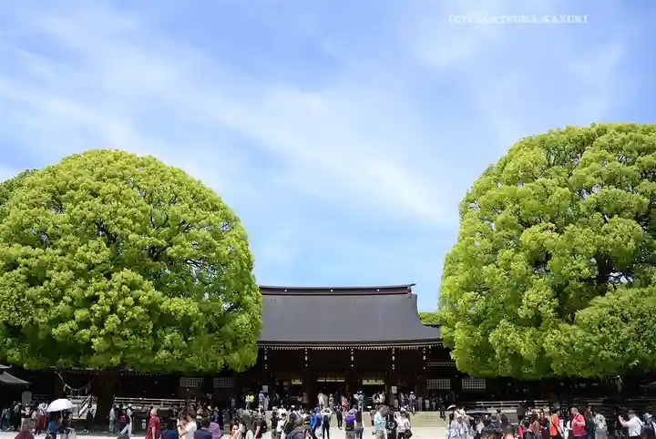 明治神宮(東京都)