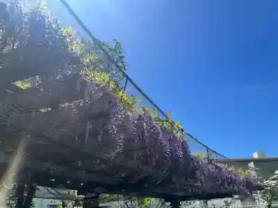 天神社(大阪府)