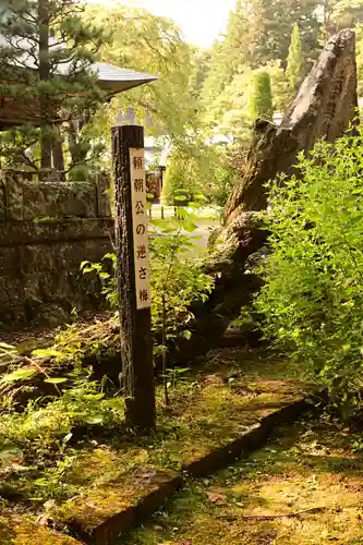 真楽寺(長野県)