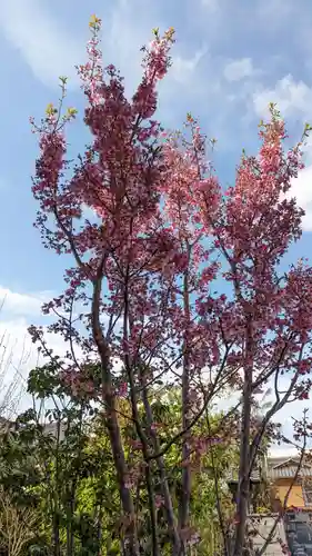 本昌寺(京都府)