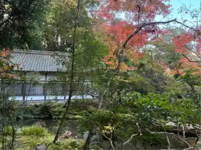法然院(京都府)