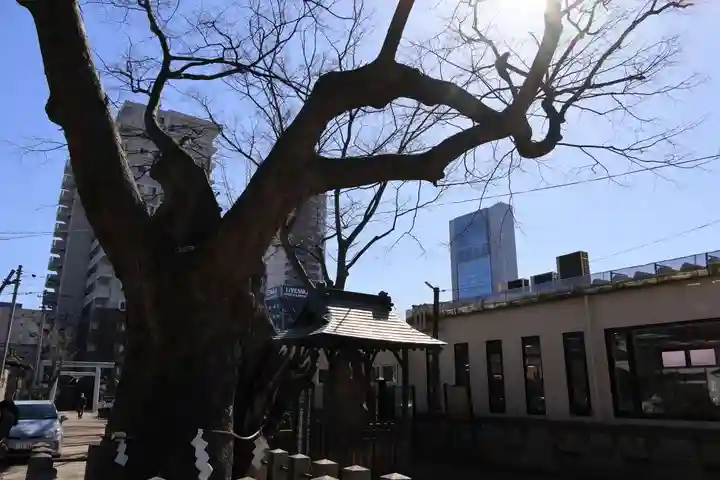 阿邪訶根神社の自然