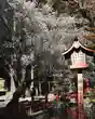 間々田八幡宮(栃木県)