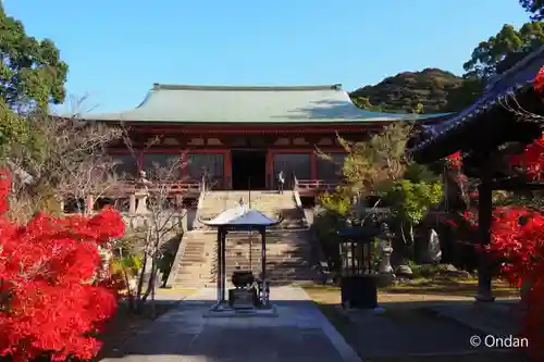 太山寺(兵庫県)