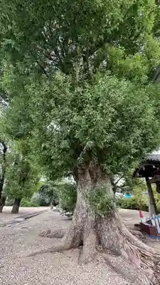 田中神社(京都府)