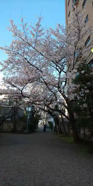 秋葉神社の自然