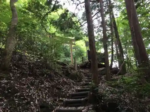 室生龍穴神社の自然