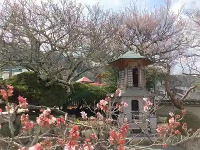 林渓寺(兵庫県)