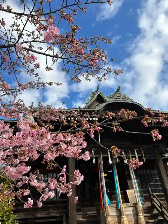桜神宮(東京都)