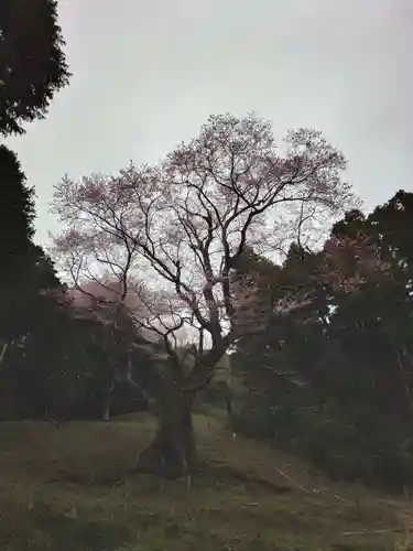 廣實神社(山口県)