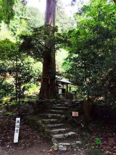 鞍馬寺奥の院 魔王殿(京都府)