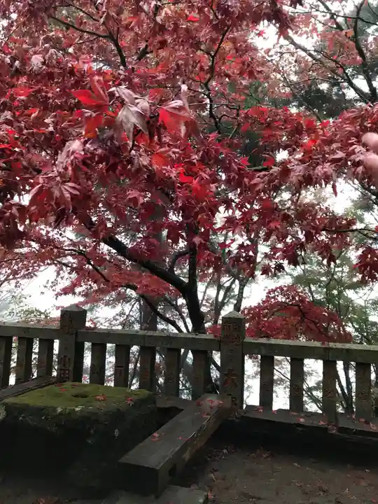 大山阿夫利神社の自然