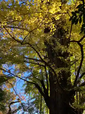 王子神社(東京都)