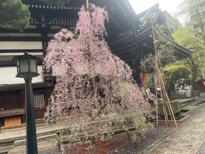 頂法寺(六角堂)の{uncategorized: "未分類", other: "その他", undefined: "問題あり", building: "その他建物", grave: "お墓", sacred_gate: "鳥居", guardian: "狛犬", statue: "像", buddha: "仏像", history: "歴史", nature: "自然", garden: "庭園", animal: "動物", pagoda: "塔", temizu: "手水舎", mountain_gate: "山門・神門", sanctuary: "本殿・本堂", subordinate: "末社・摂社", art: "芸術", scenery: "景色", jizo: "地蔵", ema: "絵馬", goshuin: "御朱印", omikuji: "おみくじ", items: "授与品その他", amulet: "お守り", goshuincho: "御朱印帳", eats: "食事", festival: "お祭り", votive_dance: "神楽", shichigosan: "七五三参", wedding: "結婚式", experience: "体験その他", initially: "初詣", around: "周辺", anti_infection: "感染症対策"}
