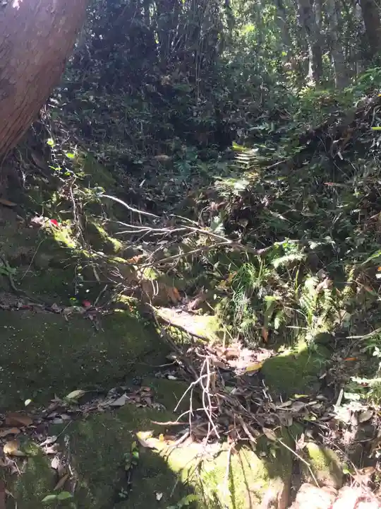 富士浅間神社の自然