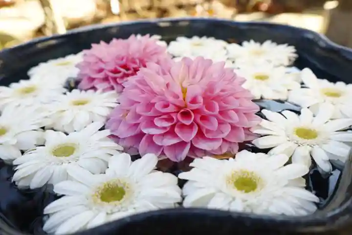 法輪寺(東京都)