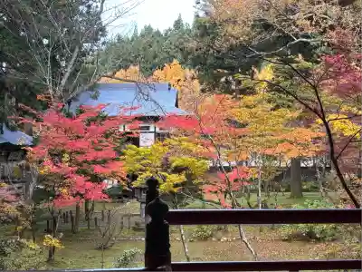 雲洞庵(新潟県)