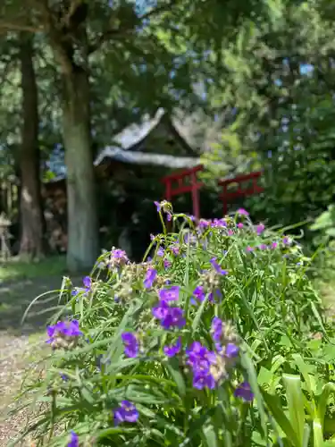 黒田原神社(栃木県)