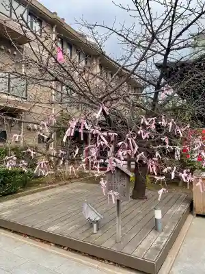 桜神宮(東京都)